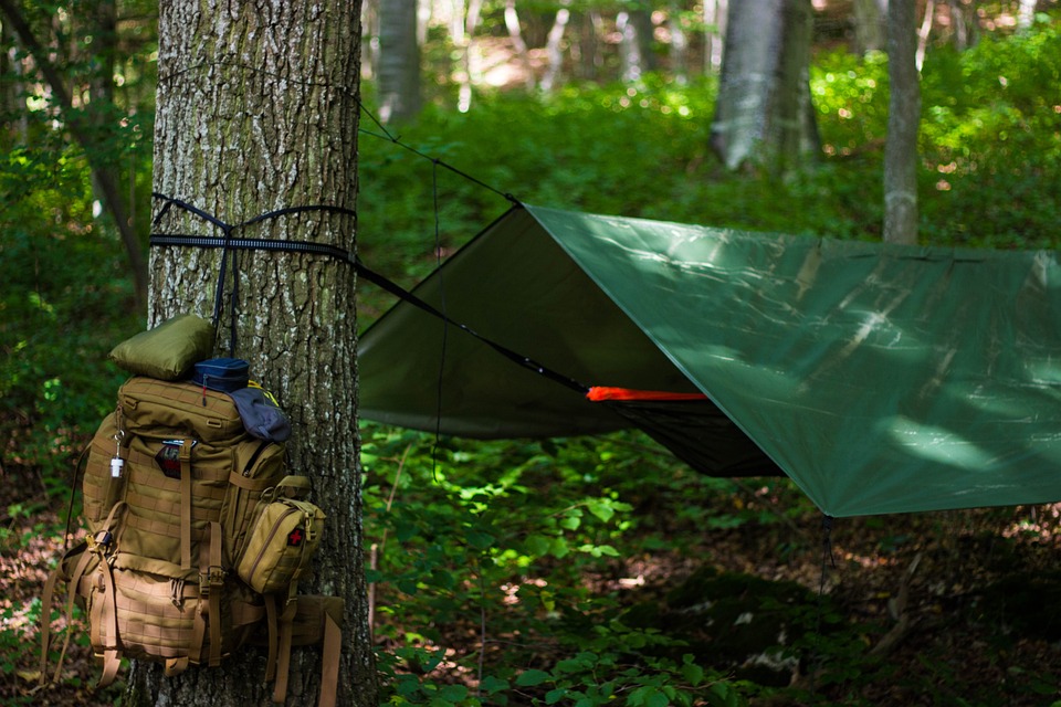 Learning from the Past: Mastering Primitive Survival Skills